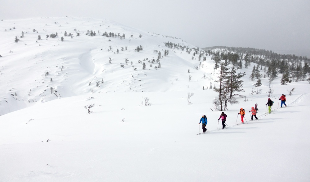 Groupe en ski de montagne